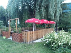 Zahrada ubytování Das kleine Paradies
