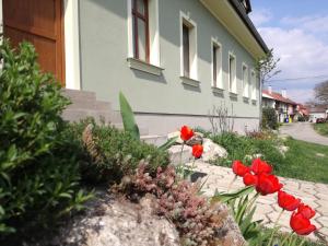 Vonkajšia záhrada v ubytovaní Apartmány Fojtova studna