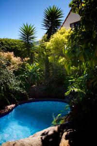 a blue swimming pool in a garden with palm trees at Albert Road Garden Guest House in Port Elizabeth