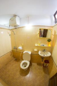 a bathroom with a toilet and a sink at Le Robinet Homestay in Hue