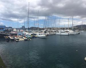 Φυσικό τοπίο κοντά σε αυτό το διαμέρισμα