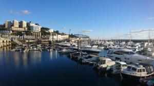 a bunch of boats are docked in a harbor at Heathcliff House B&B Exclusively for Adults Free large carpark in Torquay