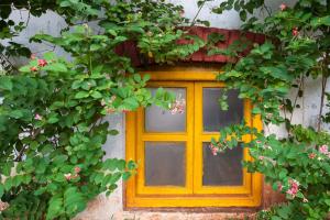 Zahrada ubytování Cosy Homestay by StayVista - A Tranquil Retreat on Cloud 9