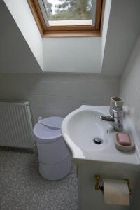 a bathroom with a sink and a toilet and a window at The Den , Sengera in Inverness
