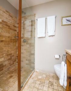 a bathroom with a shower and a toilet at Blue Lagoon Hotel and Marina Ltd in Kingstown