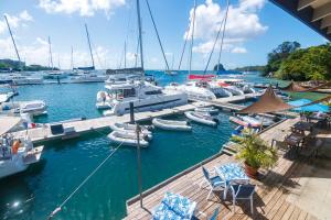 a bunch of boats docked in a marina at Blue Lagoon Hotel and Marina Ltd in Kingstown