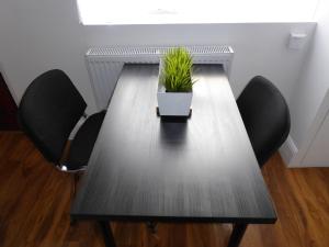 a table with a potted plant on top of it at Soft & Bright in Thornton Heath