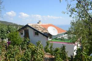 Naturlandskabet i nærheden af lejligheden