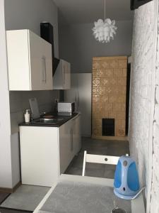 Kuchyňa alebo kuchynka v ubytovaní Ametyst Apartments