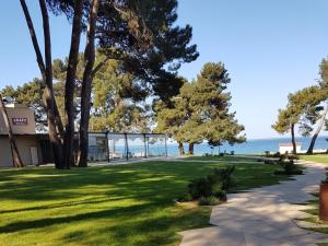 Φυσικό τοπίο κοντά σε αυτό το διαμέρισμα