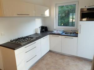 Kuchyň nebo kuchyňský kout v ubytování Apartments Villa Maslinica
