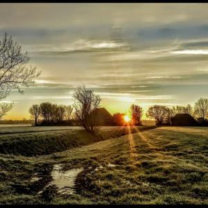 Afbeelding uit fotogalerij van Vita Nova in Hippolytushoef