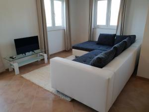 TV a/nebo společenská místnost v ubytování Apartments Villa Maslinica