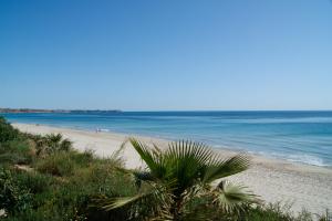 Imagen de la galería de Apartamentos Jessica Beach, en Pilar de la Horadada 7 fotos más