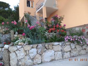 Zahrada ubytování Apartmani J&P
