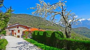 een weg die leidt naar een huis met een heg bij Casa Belvedere Garden by Gardadomusmea in Tremosine Sul Garda