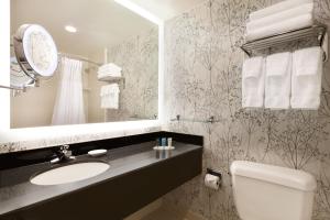 a bathroom with a toilet, sink and mirror at Crowne Plaza Crystal City-Washington, D.C., an IHG Hotel in Arlington