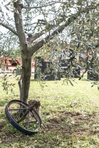 Zahrada ubytování Relais Buonviaggio
