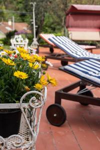 Zahrada ubytování Relais Buonviaggio