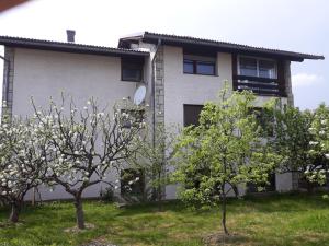 Zahrada ubytování Apartman Luka