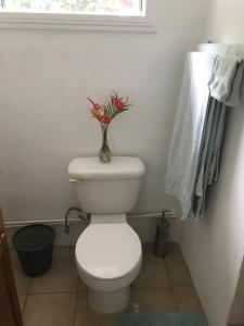 a bathroom with a white toilet with a vase of flowers at cocoa pod studio in Soufrière