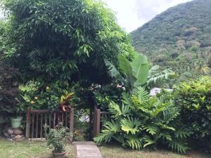 En hage utenfor cocoa pod studio