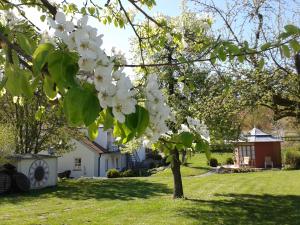Zahrada ubytování Hotel Gewürzmühle