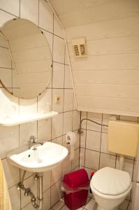 バート・シャンダウにあるFerienwohnung Schumannのバスルーム(洗面台、トイレ、鏡付)