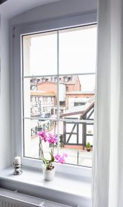 ウストカにあるPocztówkaの白い窓枠にピンクの花が咲く窓