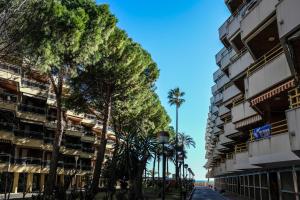 a street with palm trees in front of buildings at Apartamentos Marina sol de España in Cambrils