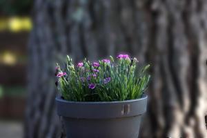 Galeriebild der Unterkunft Jadrija II House for rest in Jadrija