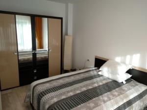 1 dormitorio con cama y espejo grande en Apartament Ramona en Braşov