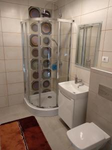 y baño con ducha, aseo y lavamanos. en Apartament Ramona en Braşov
