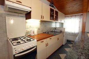 Køkken eller tekøkken på Apartment Svobode Izola