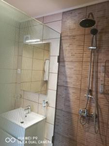 La salle de bains est pourvue d'une douche et d'un lavabo. dans l'établissement Room4U Apartment, à Balatonszemes