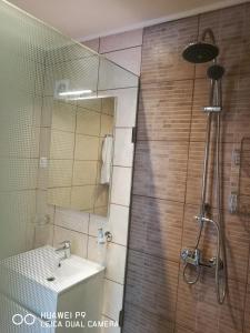 y baño con ducha y lavamanos. en Room4U Apartment, en Balatonszemes