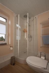 uma casa de banho com um chuveiro e um WC. em Hof Grafeneiche em Asel