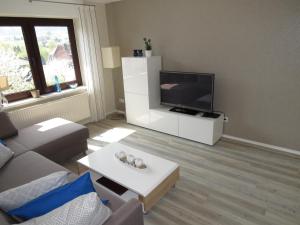 een woonkamer met een bank en een flatscreen-tv bij Ferienwohnung Frühlings in Medebach