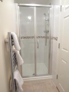 a shower with a glass door and a towel rack at Oxford Apartments 1 in Oxford