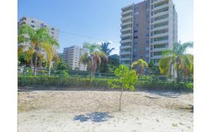 a small tree on a sandy beach in front of buildings at Coconut Shell At Turtle Towers in Ocho Rios
