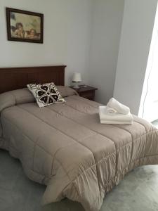 a bedroom with a bed with a pillow and a picture on the wall at Apartamento en el centro in Ceuta