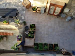 an overhead view of a garden with potted plants at Villa Eugenia in Livorno