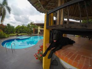 Bazén v ubytování Finca Hotel La Quinta Porra nebo v jeho okolí