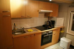 Kuchyň nebo kuchyňský kout v ubytování Ferien-/Monteurwohnung Olbrich