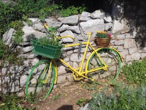 Jazda na bicykli v okolí ubytovania Apartment Rojal