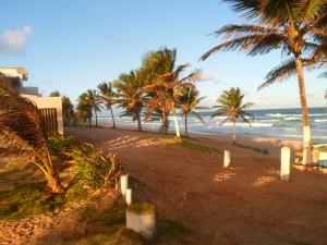 una playa de arena con palmeras y el océano en Casa de praia, en Salvador