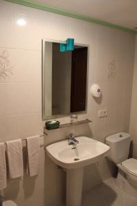 een badkamer met een wastafel, een toilet en een spiegel bij Hotel Sindika in Oñate