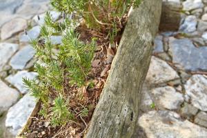 Gallery image of Hotel Atrapos in Kissós