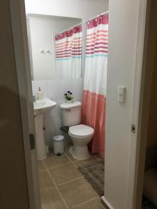 La salle de bains est pourvue de toilettes et d'un lavabo. dans l'établissement Departamento Puerto Montt, à Puerto Montt