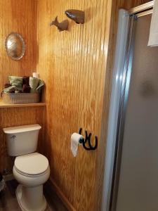 a bathroom with a toilet and a shower stall at KY Lake Area Cabin in Aurora +7 photos